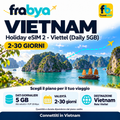 Holiday eSIM 2 Viettel (Daily 5GB) — Frabya Travel eSIM